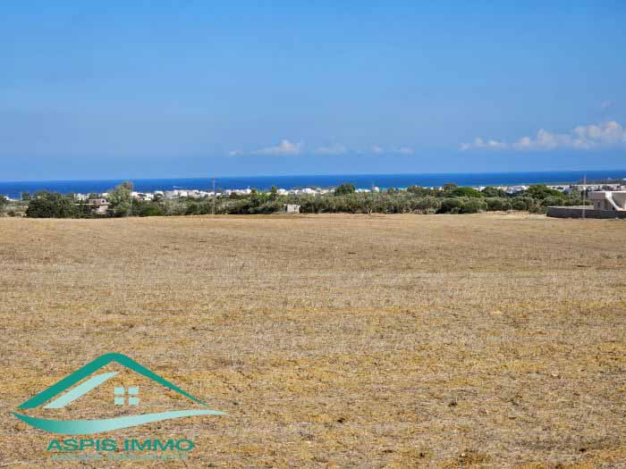 Hammam El Ghezaz Tamazrat Vente Surfaces Terrain agricole 5 980 m2  tamezrat kelibia